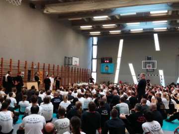 Візит Грандмайстра Leung Ting в Угорщину 2018, фото 15