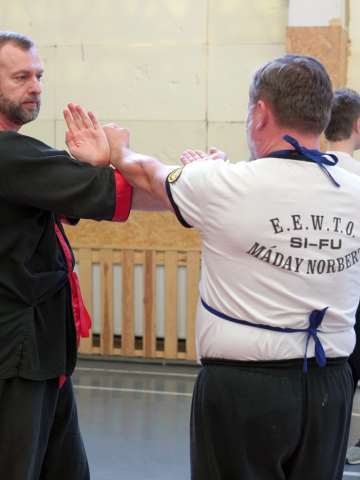 Семінар Wing Tsun в Каунасі весна 2025