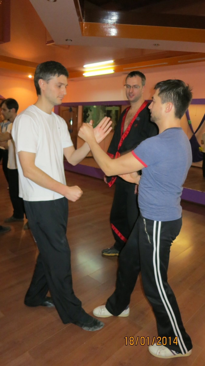 Семинар вин чун 18.01.2014 2