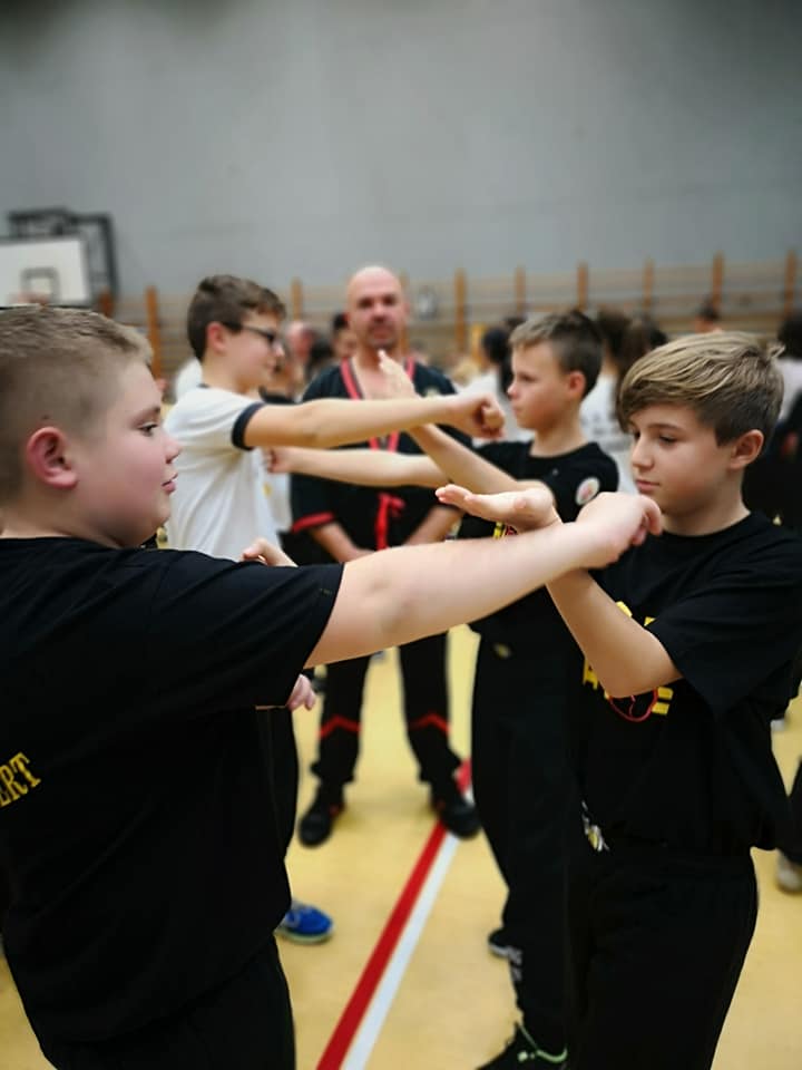 Визит Грандмастера Leung Ting в Венгрию 2018 19