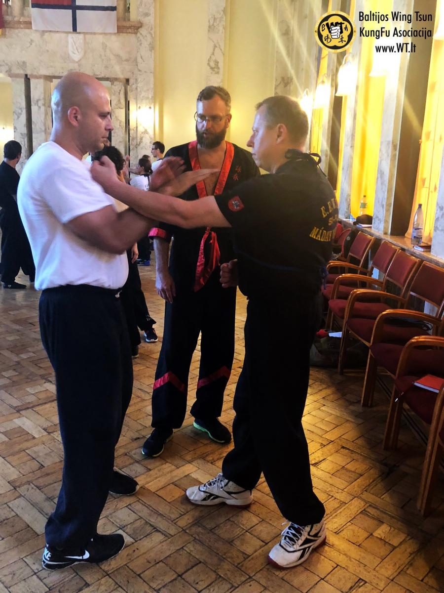 Летний лагерь вин чун 2018 с Maday Norbert