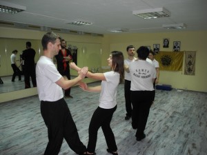 Семинар вин чун 28.02.2015 1