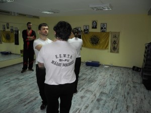 Семинар вин чун 28.02.2015 2