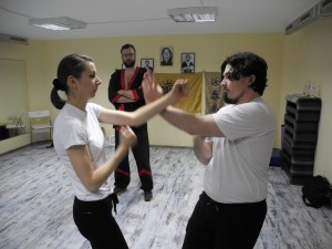 Семинар вин чун 28.02.2015 4