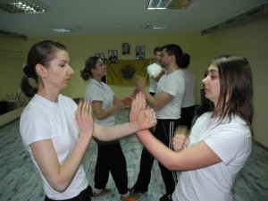 Семинар вин чун 28.02.2015 6