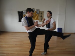 Семинар вин чун  29.05.2016 91