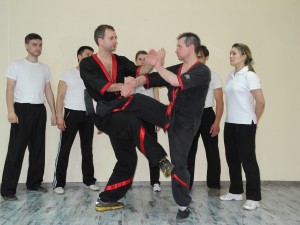 Семинар вин чун 31.05.2014 5