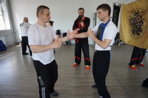 Семинар вин чун 23.05.2015 9